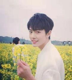 主播爆料杨紫肖战视频,幕后真相引网友热议