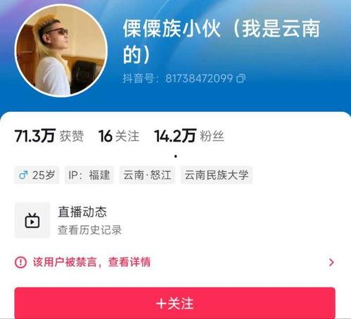 自媒体视频爆料,背后真相令人震惊！